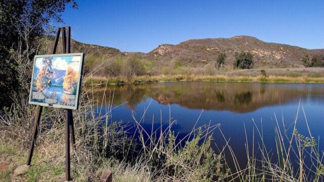 Barbara's Lake