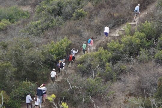 Fitness Hike - Canyon View