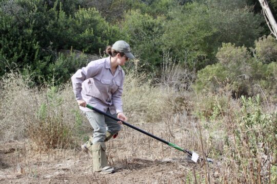 Land Tending with LCF - Laguna Coast
