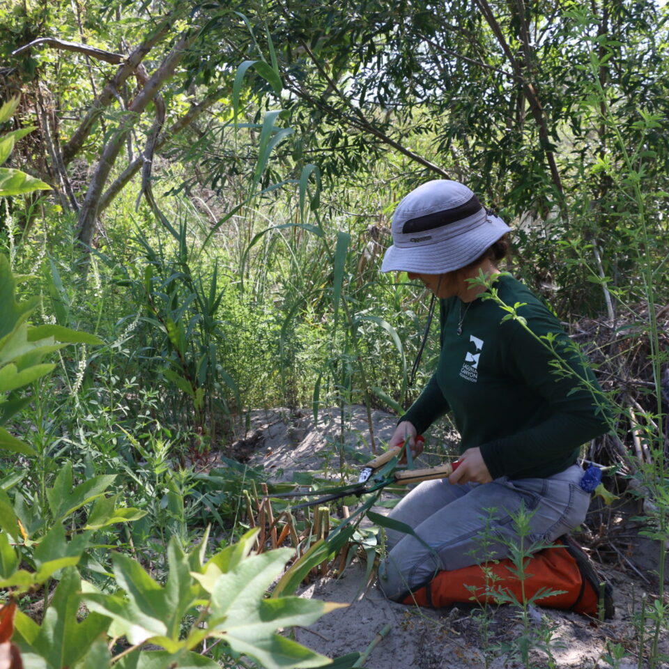 Come celebrate National Public Lands Day with us!