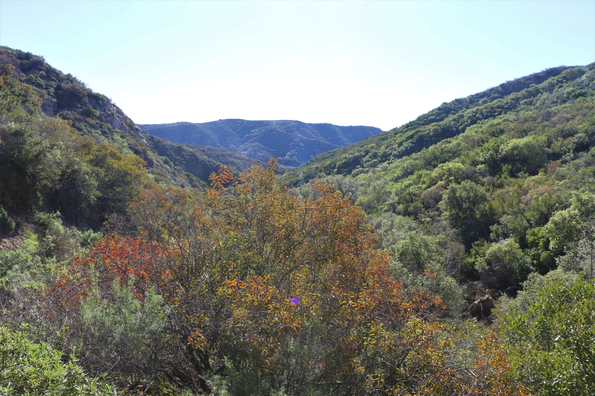 It Takes a Village Laguna Canyon Foundation