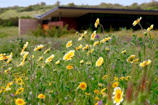 Keep It Wild - Laguna Coast