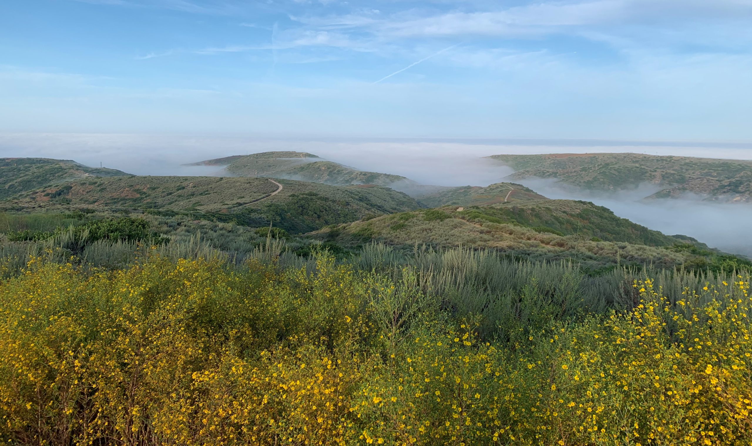 Wild. Pristine. Fragile. Laguna Canyon Foundation