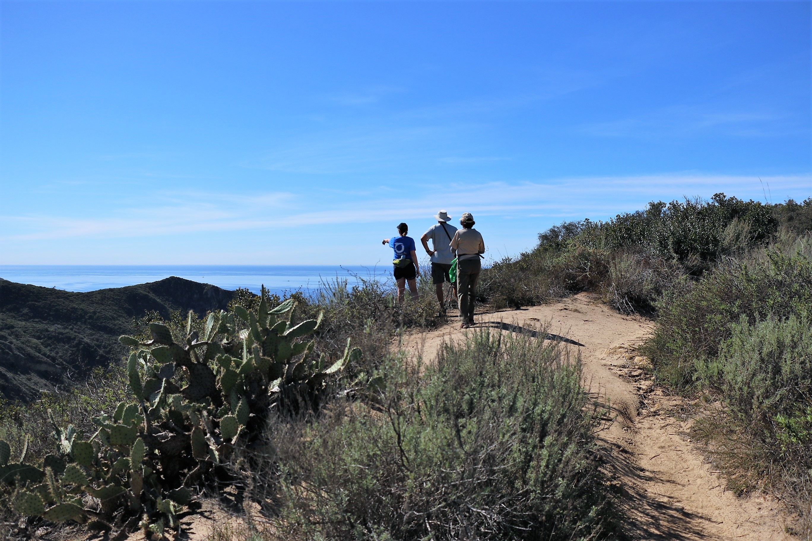 Laguna Canyon Your Backyard Laguna Canyon Foundation