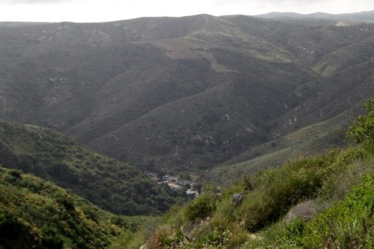What is Wilderness?