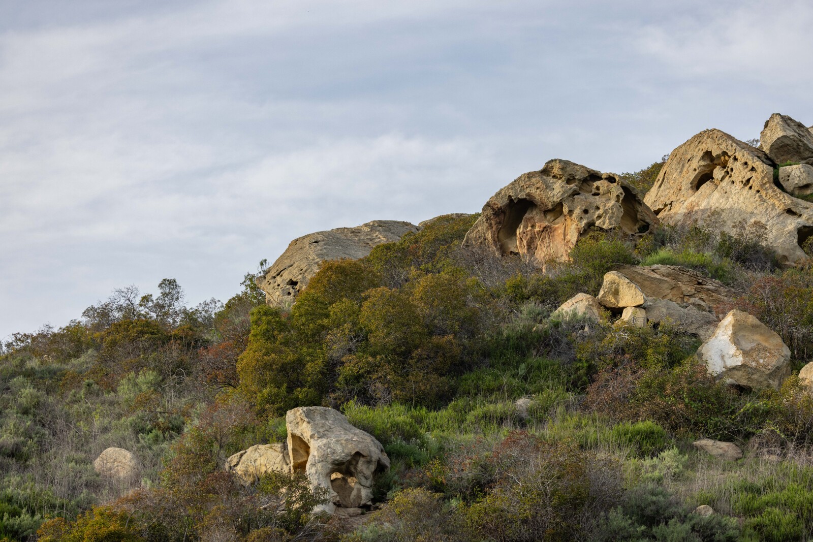 Stories Carved in Stone
