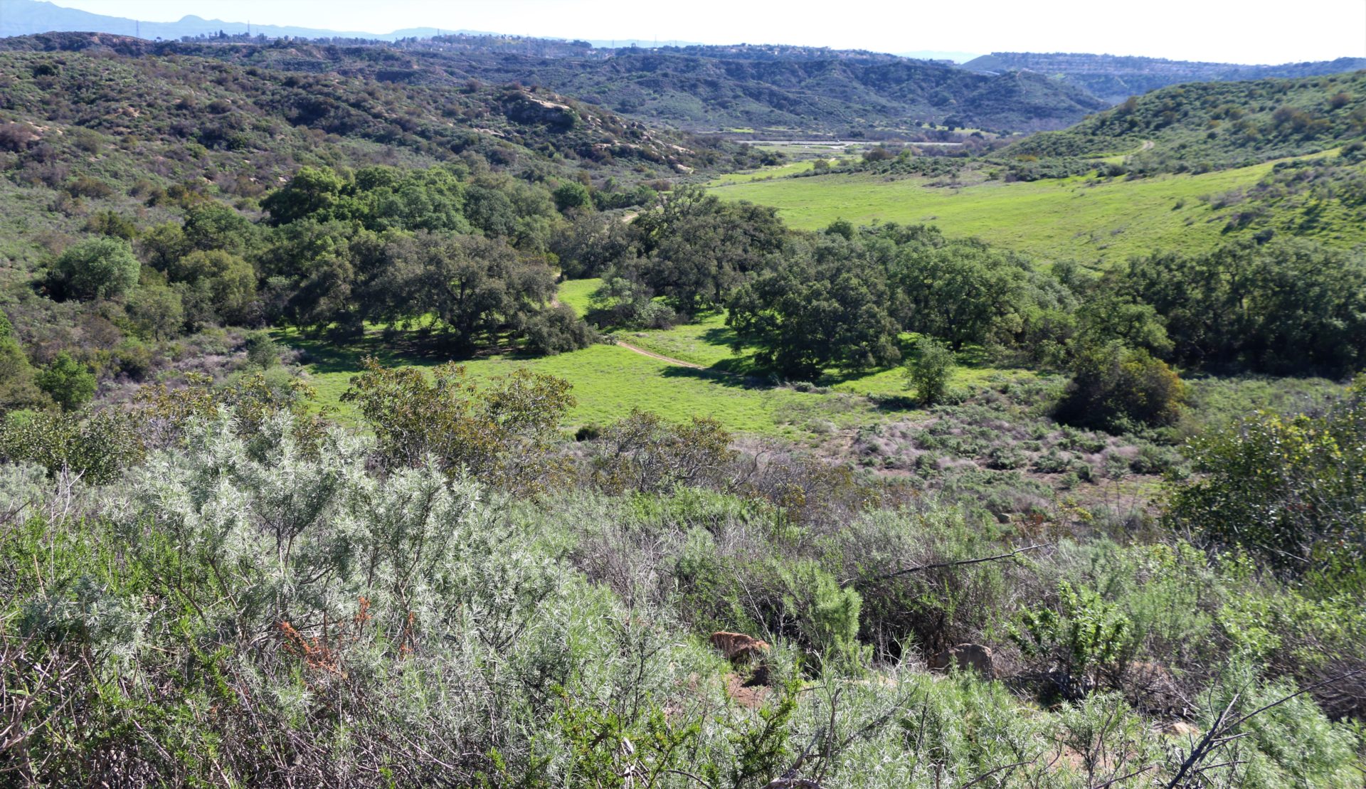 Camarillo
