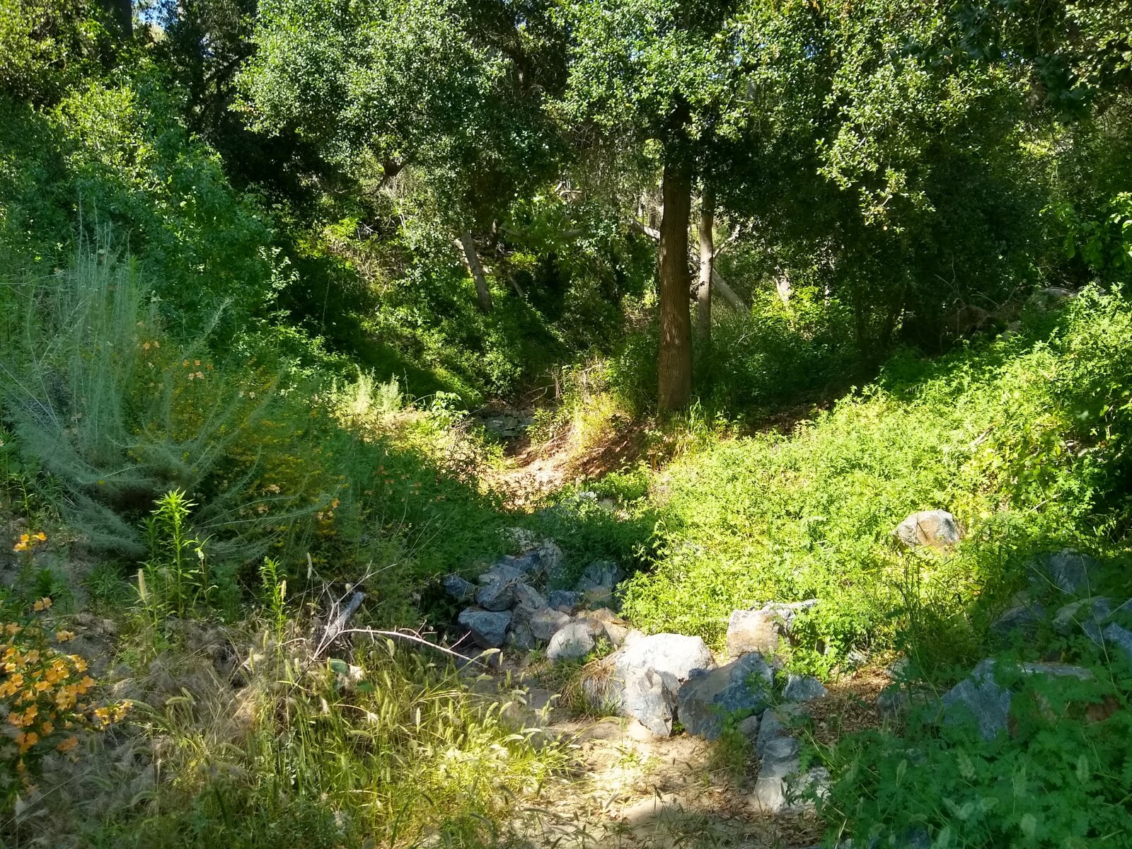Hike Wood Canyon / Camina Wood Canyon