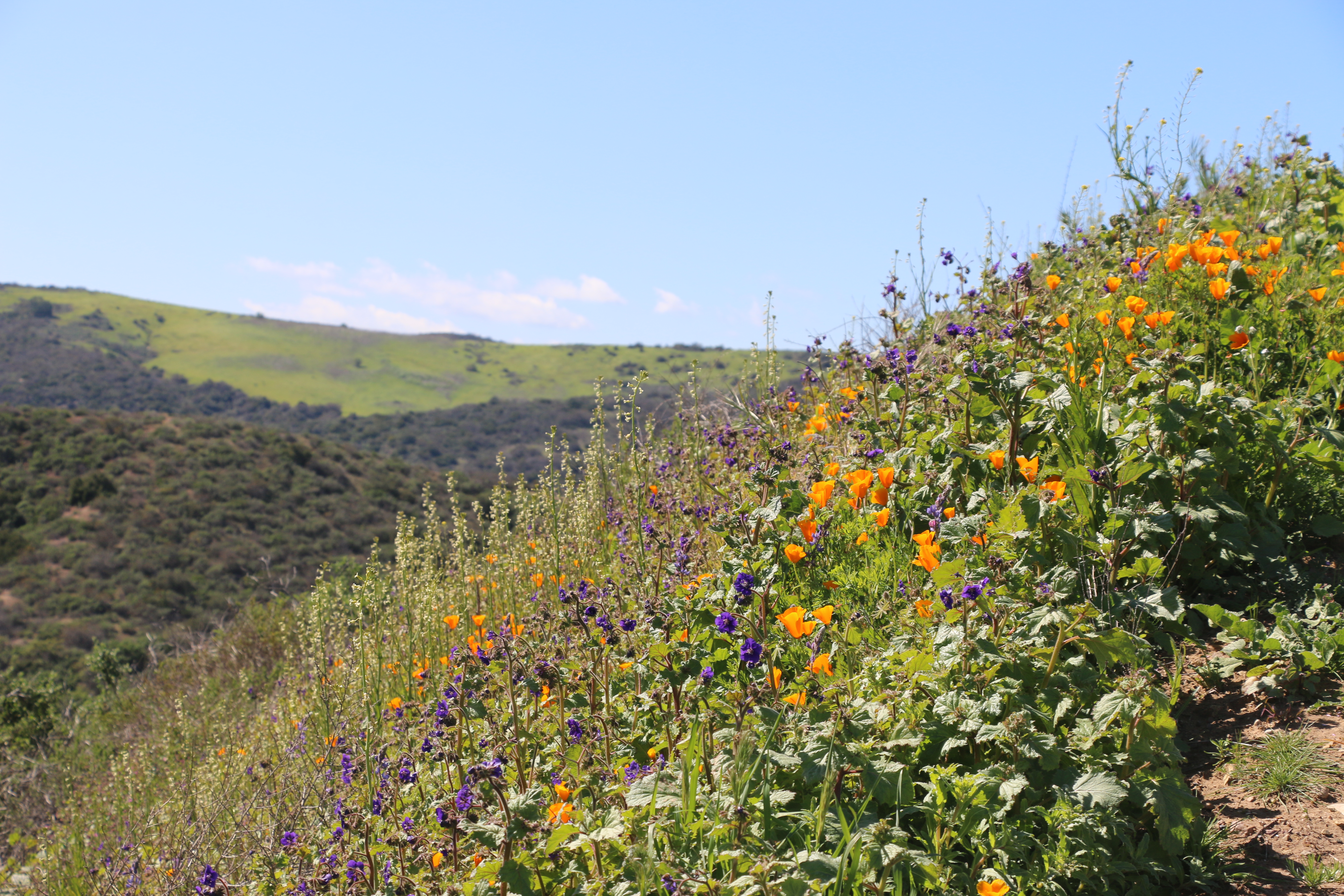 vista canyon