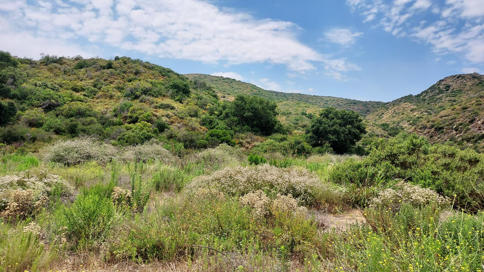 Bca53e12 1891 479c 9a4f 5710a81f6202 1 201 a